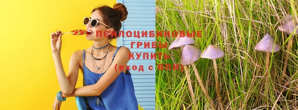 наркотики Алексеевка