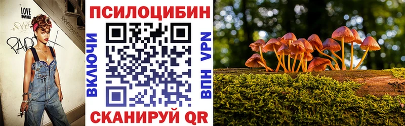 Псилоцибиновые грибы прущие грибы  Княгинино 